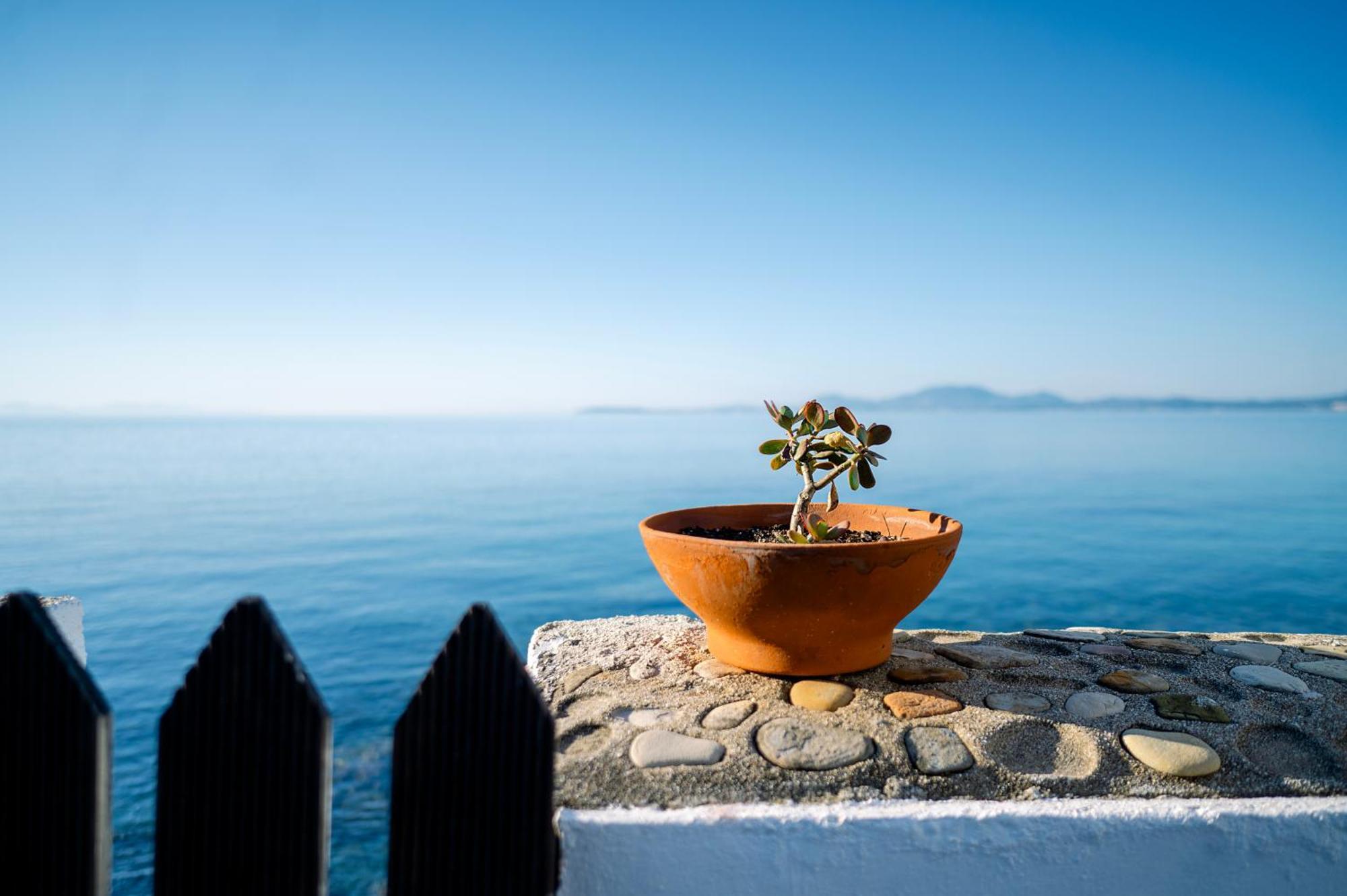 Nissaki Olive Press Villas Nisaki  Екстериор снимка